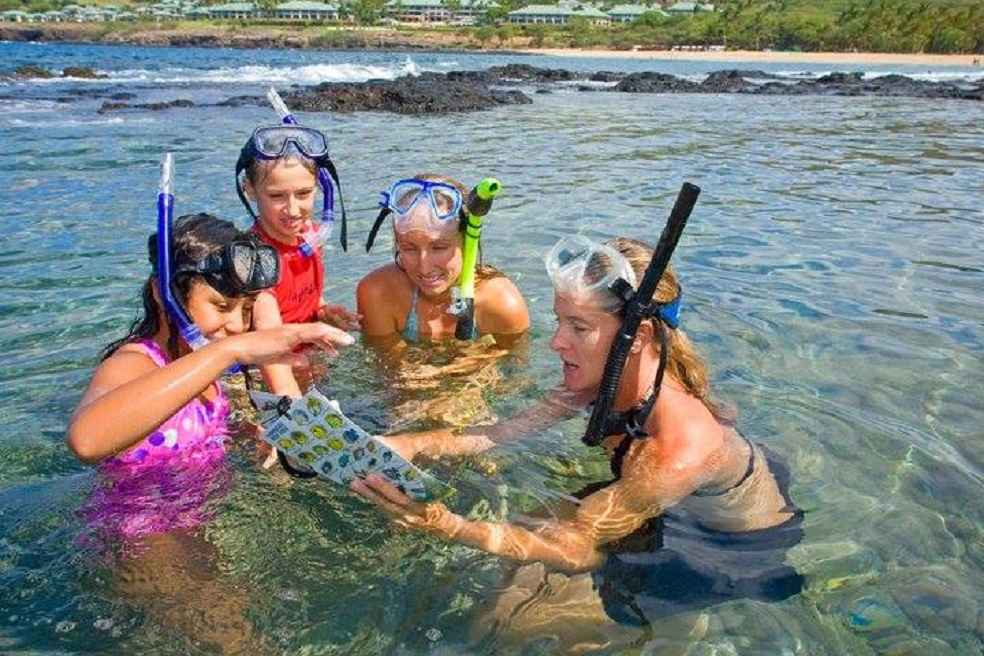 Hawaii Ecotourism Crush