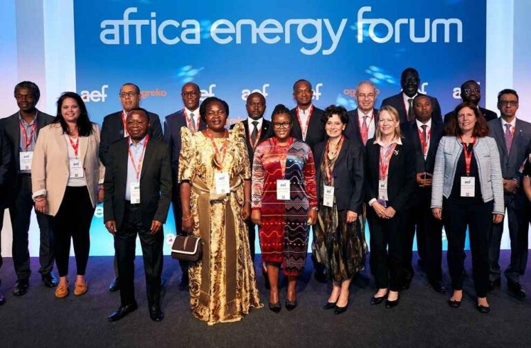 European Investment in African Energy Sector