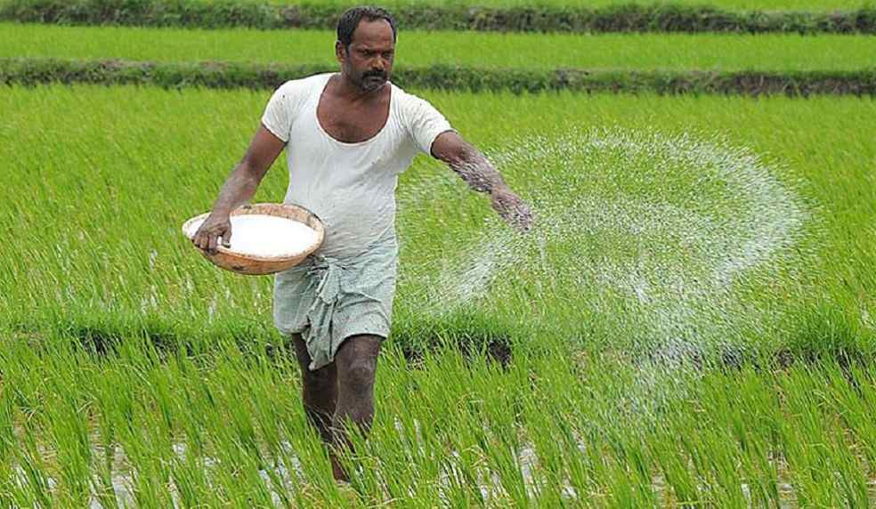 Deforestation Regulation in India_ Samunnati