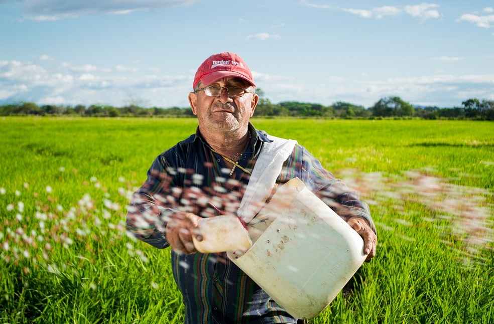 India's Rice Export Ban