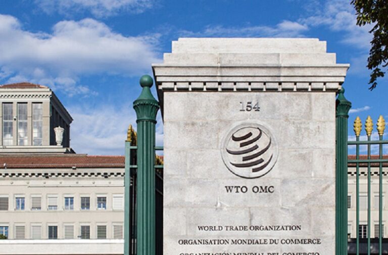 Non-Trade WTO