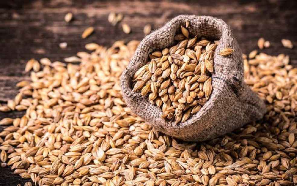 Argentina Export Barley to Mexico