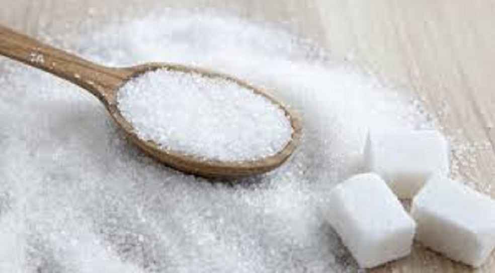 India ban Sugar export_sugar cubes and sugar