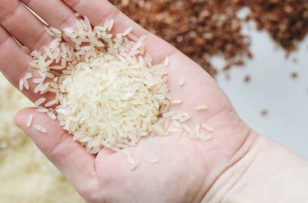 Rice export ban in india