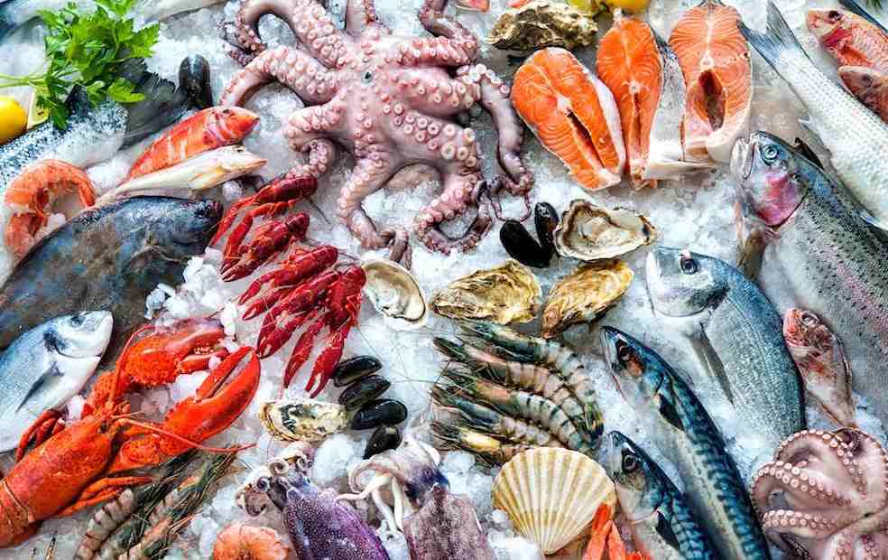 Sea Foods_Japan sea food import to china