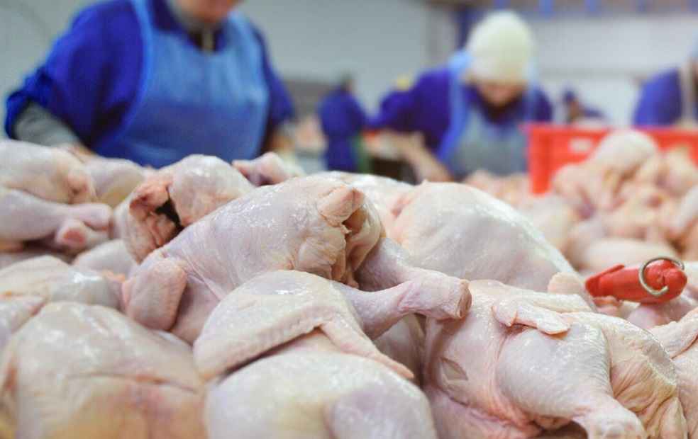 chicken meat import_Africa Anti Dumping on Chicken Import