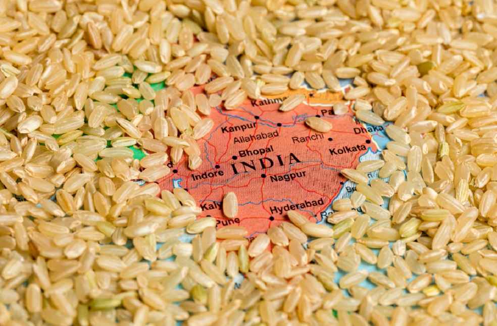 rice-export-India