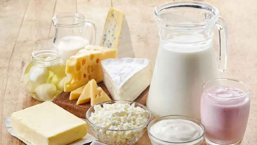 Dairy Export India US 1