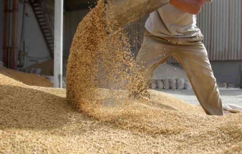 EU rejects Renewing Ukrainian Grain Ban