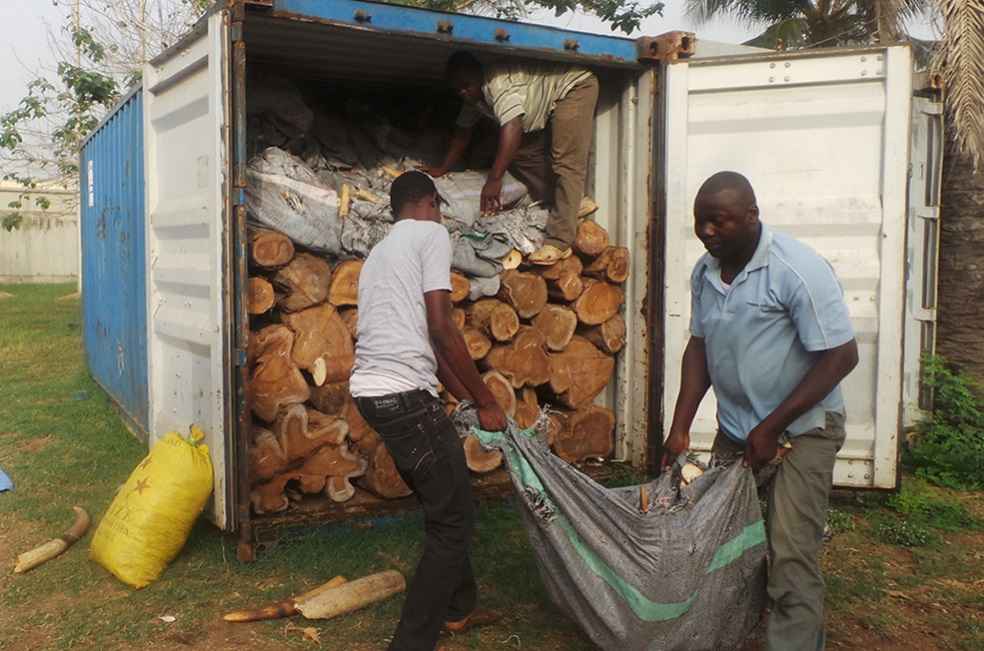 Ghana Timber Trade EU