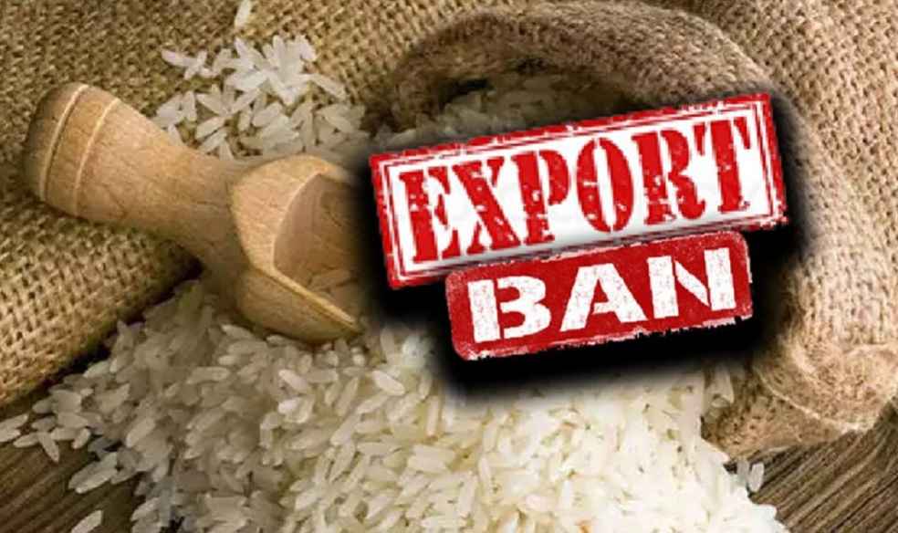 Indian Rice export Ban Clarifies _ Rice Export