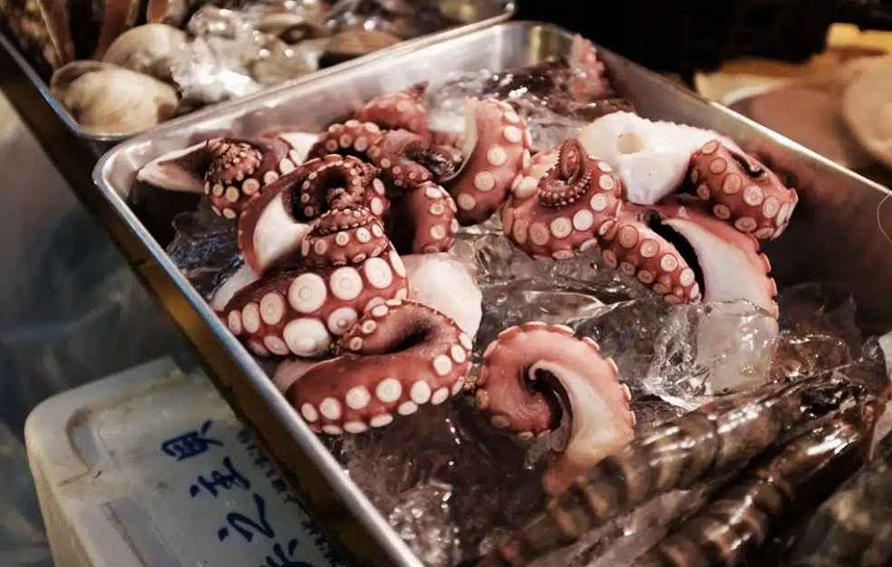 Japan Sea food Export Ban_Raw Sea Food