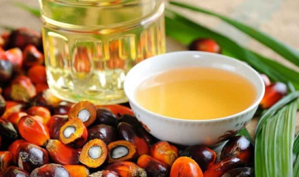 Malaysia-palm-oil_Export to China