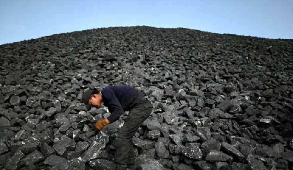 Adani Coal Import Legal