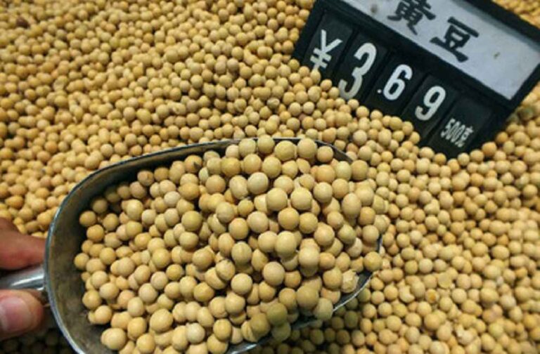 US Soybean To China