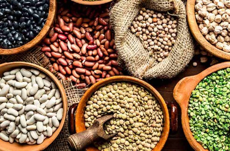 pulses-legume-bean-pea-lentil_India Brazil pulse trade