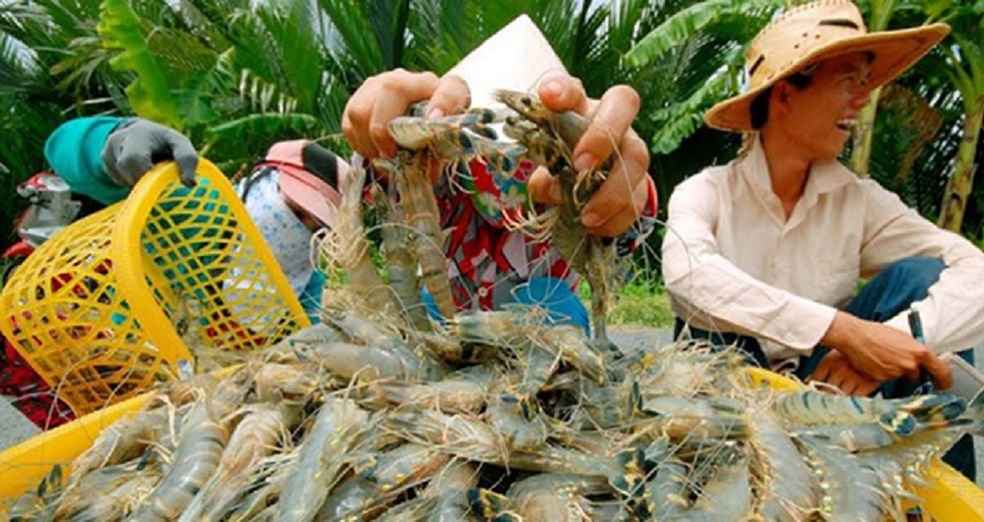 vietnam-shrimp-exports to UK