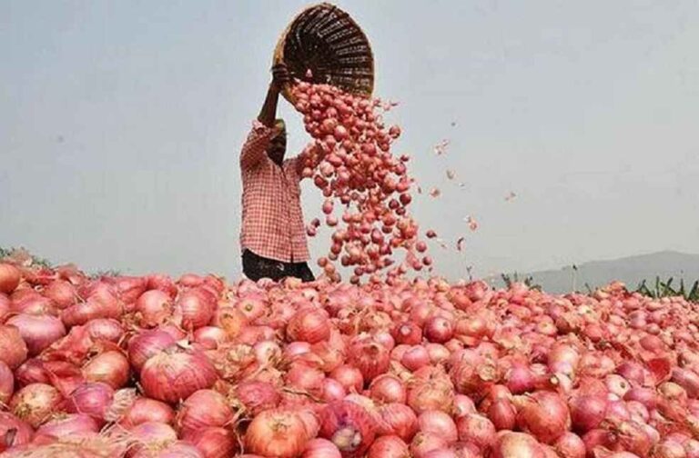 Indian Onion export to Bangladesh_India's Export Ban