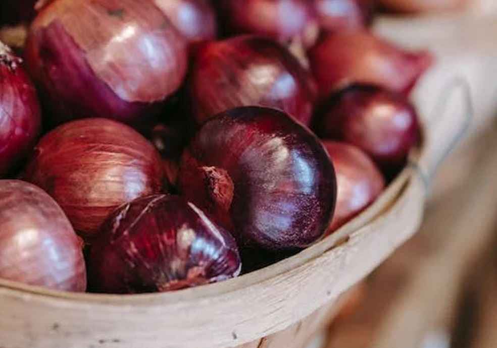 Onion import_India Export ban