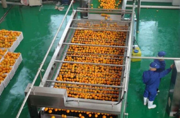 Frozen-Fruit-Pulp-Processing