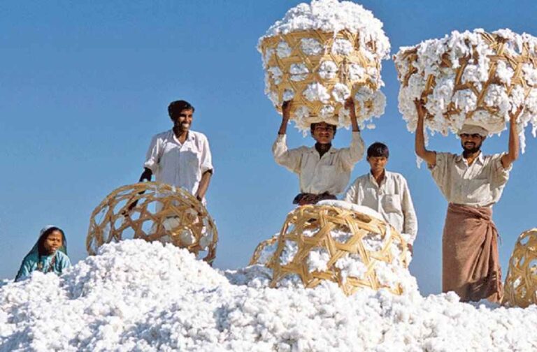 IndianCotton Export