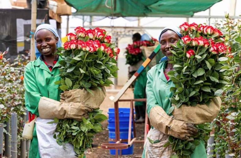 Kenya Flower export