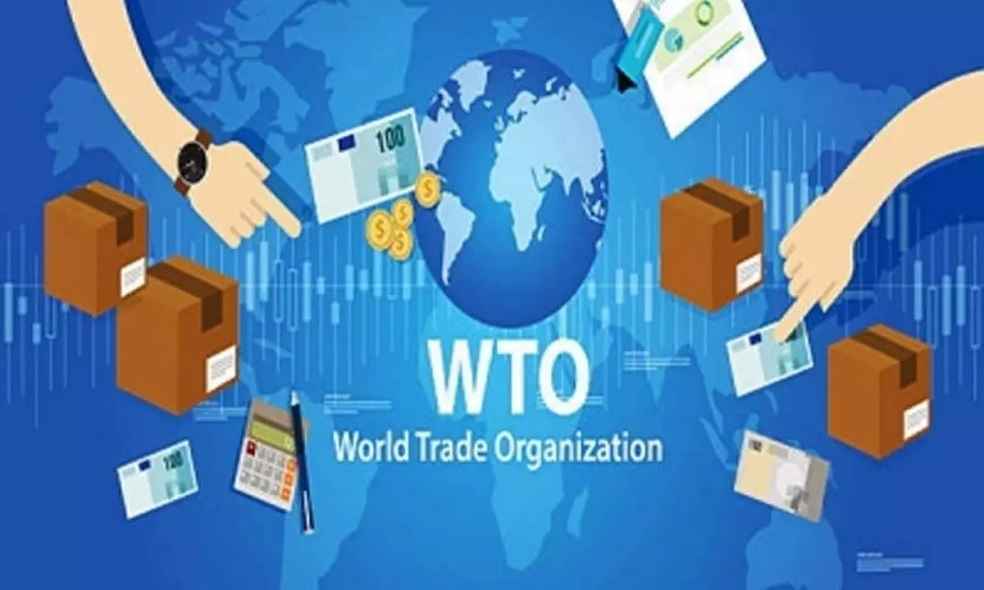 WTO Nations Question India’s Farm Input Subsidies