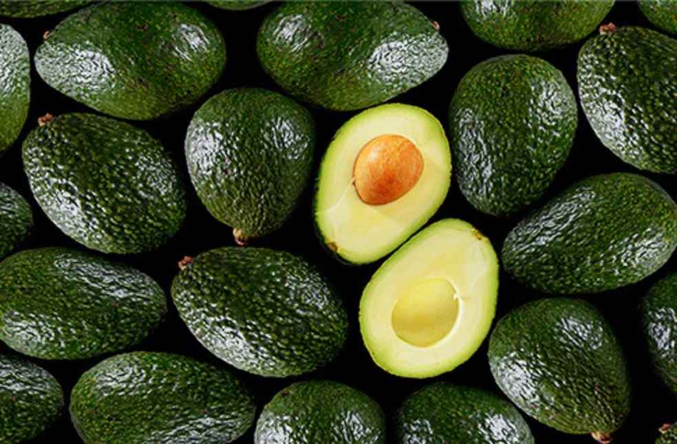 Australia Avocado