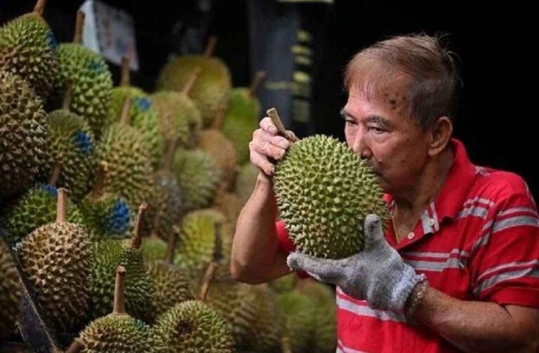 Durian