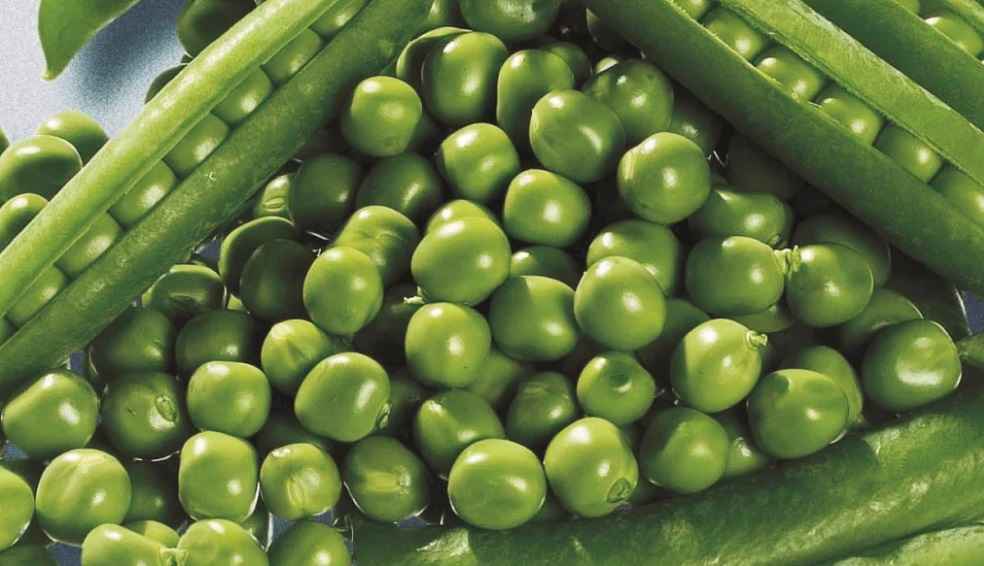 Pea export