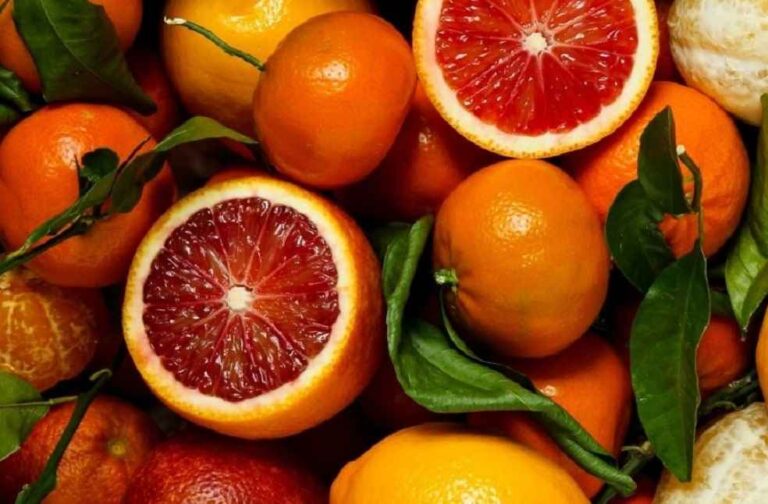 citrus_Orange