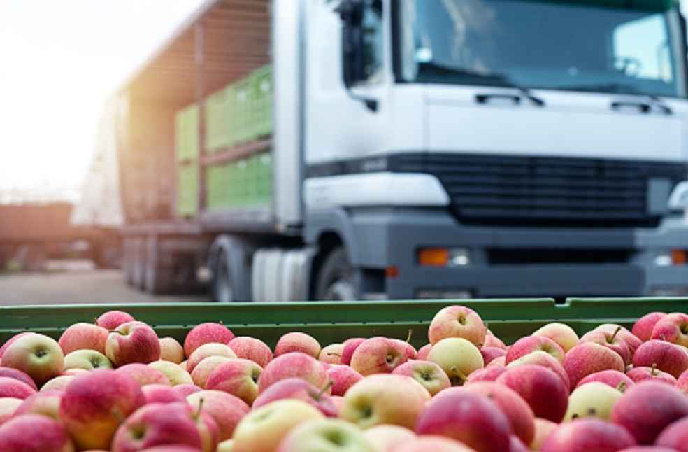 fruit and vegitable warehouse