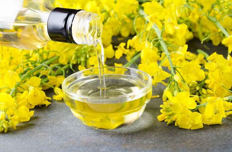 canola-oil-and-canola-blossoms_Mustard