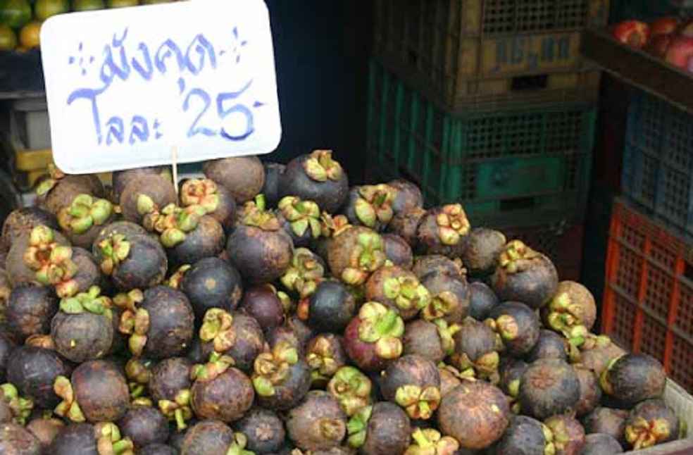 Mangosteen