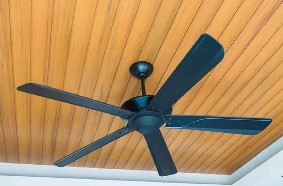 -electric-ceiling-fan