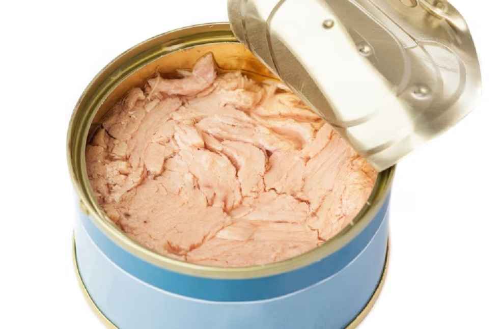 canned Tuna Image