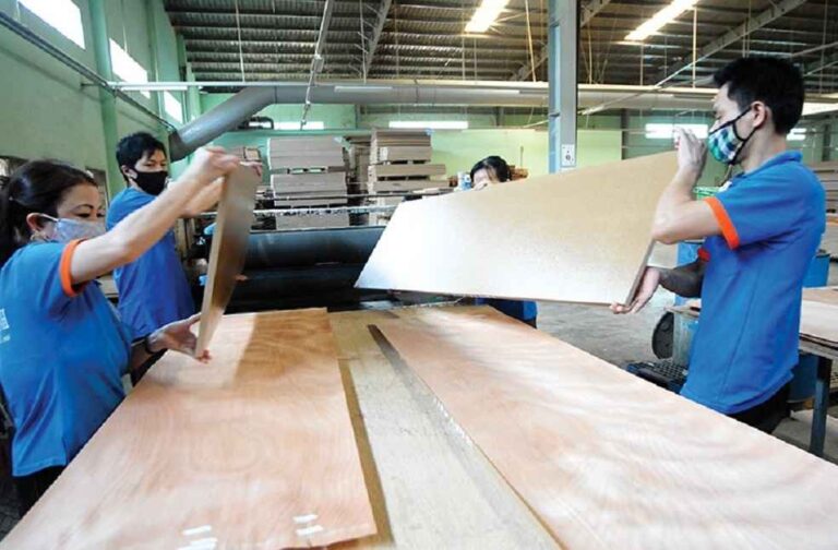 vietnam plywood trade